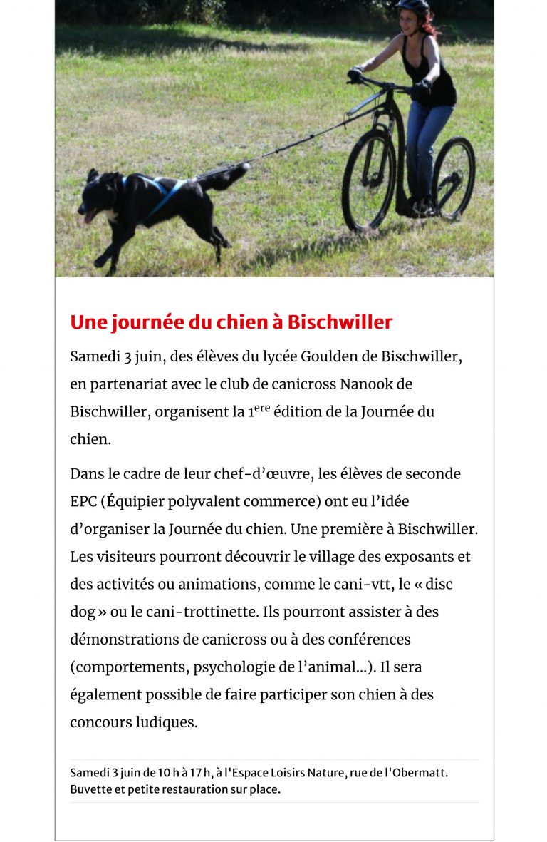 Article DNA. Journée du chien